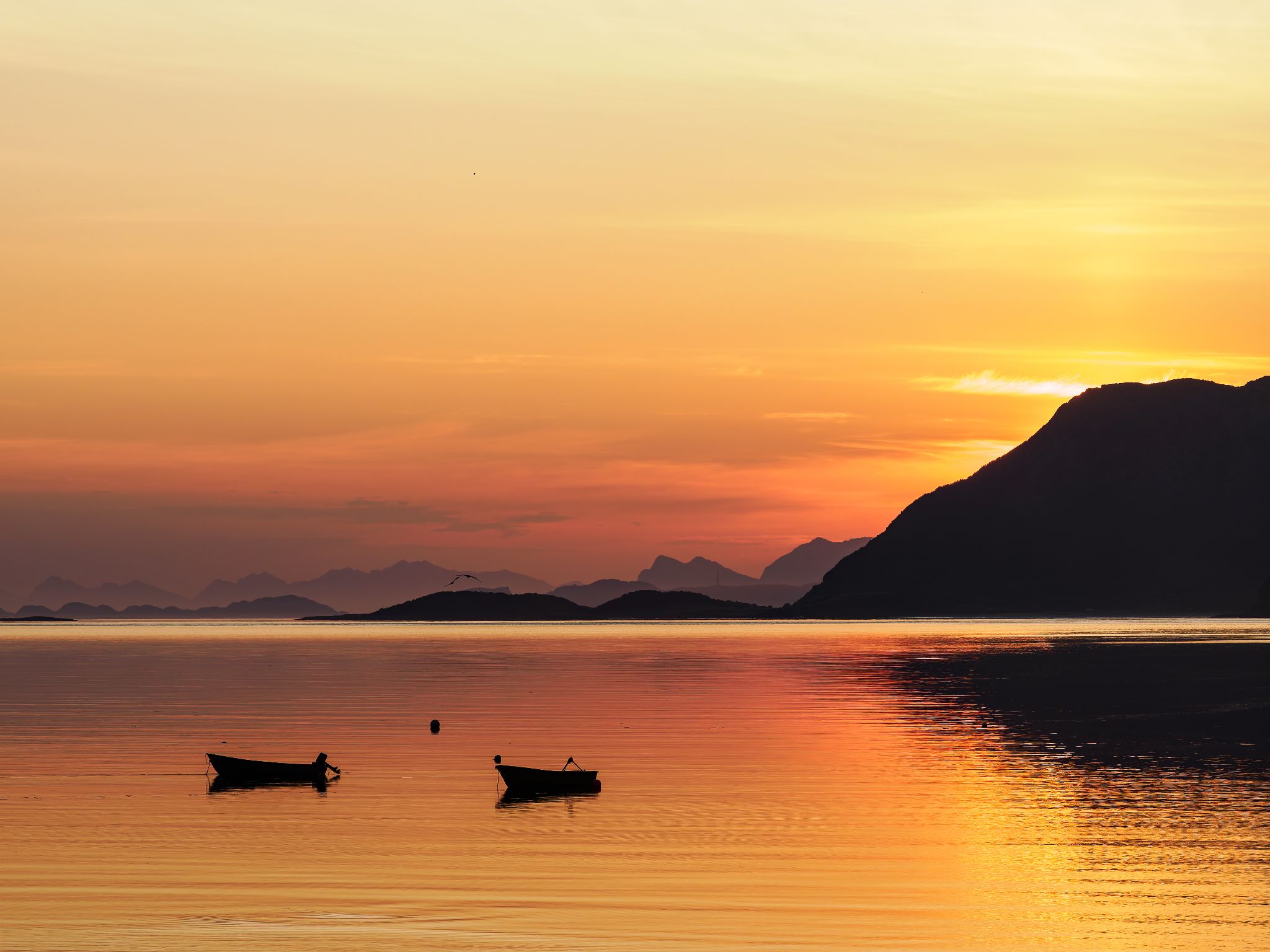 250724 0336 H  2HR0001 DxO DeepPRIME XD2s